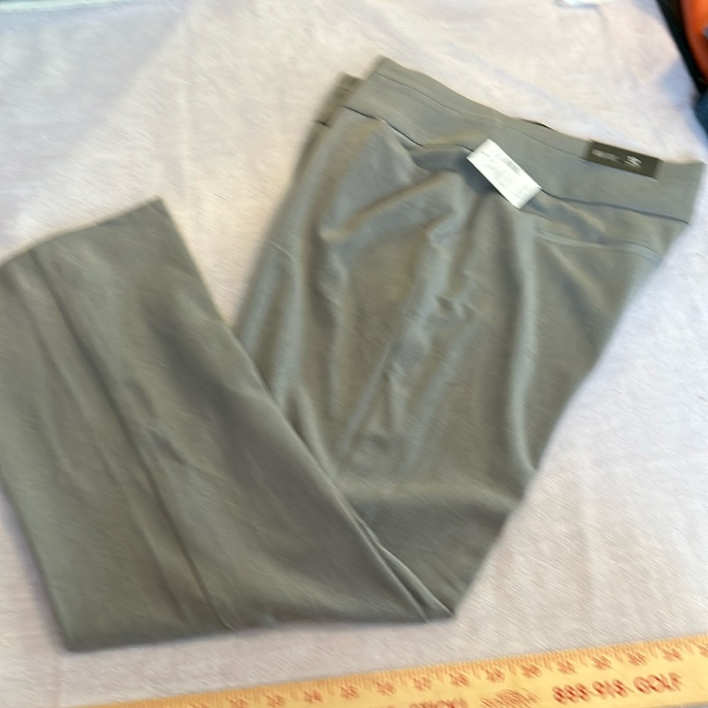 NWT Maurices pant